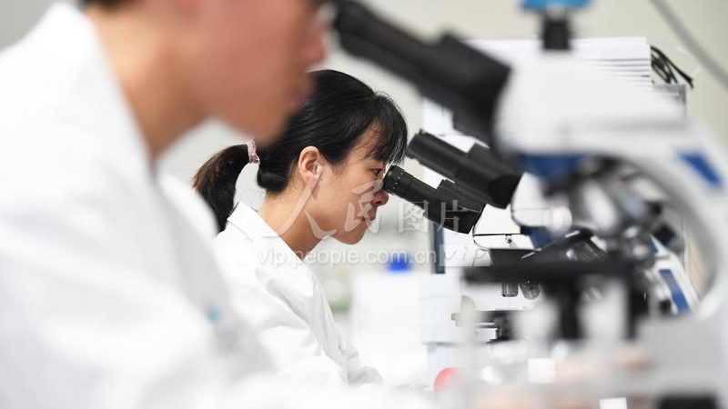 细胞培养污染处理：守护生物科研的纯净防线