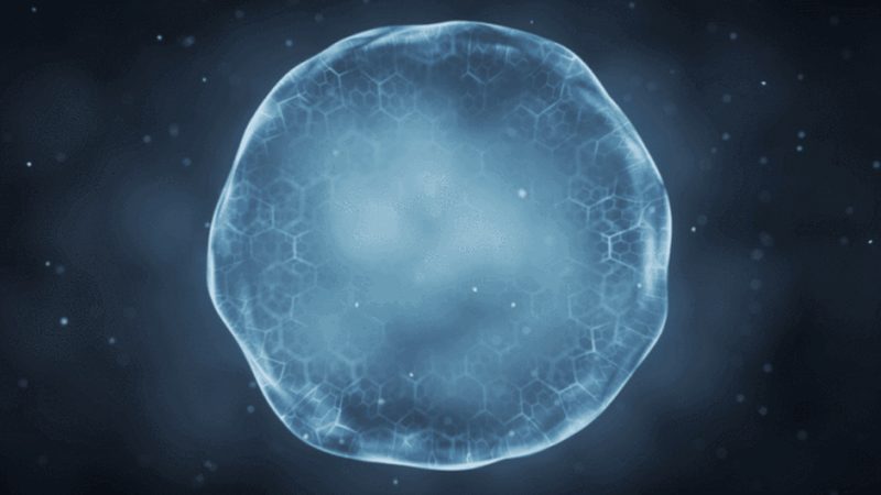 生物医药内包团队费用，如何合理预算？**