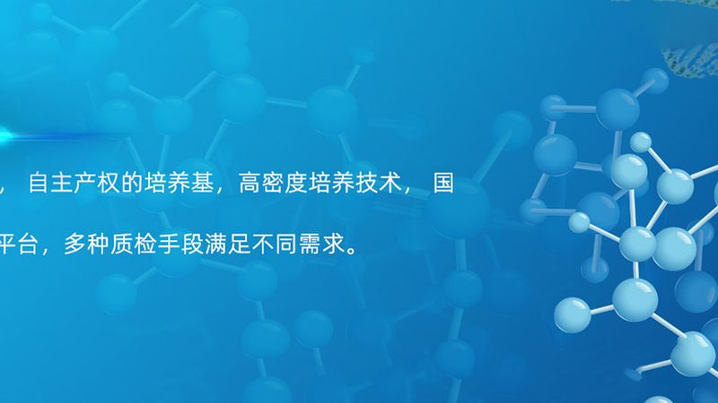 分子生物学试剂型号：揭秘其背后的技术内涵与选型逻辑