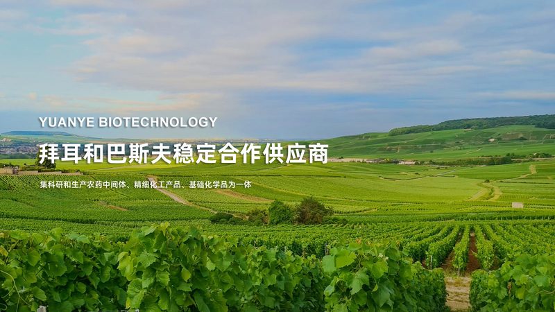 CDMO行业准入资质：揭秘医药研发背后的合规密码