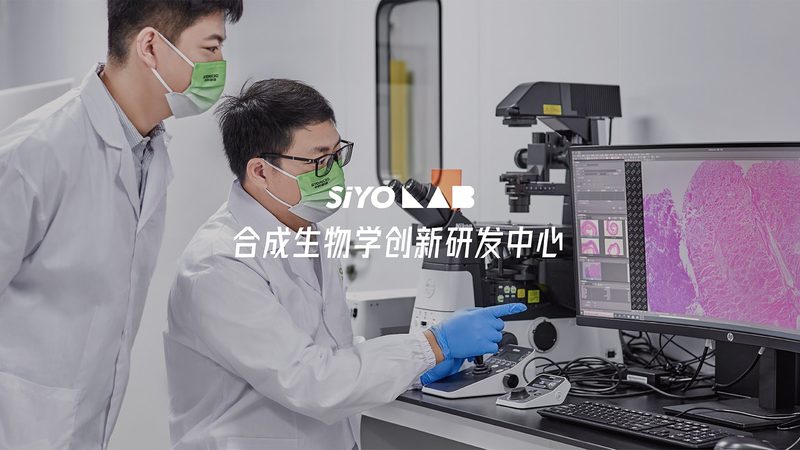北京移液器代理加盟，合同模板中的关键要素**