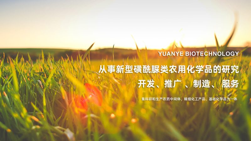 广州生物科技公司代理加盟：如何选择合适的合作伙伴**