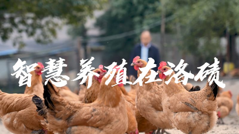 酶促反应步骤报价单：揭秘定制化生物实验的精准报价**