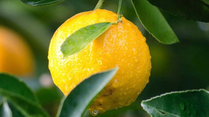 生物医药外包定制：型号规格背后的选型逻辑与行业真相